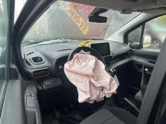 Opel Combo Combo Cargo, Van, 2018 1.6 CDTI 100 picture 9