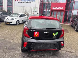  Kia Picanto Picanto (JA), Hatchback, 2017 1.0 DPi 12V 2022/5