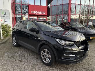 Opel Grandland X 1.2 TURBO EDITION picture 8