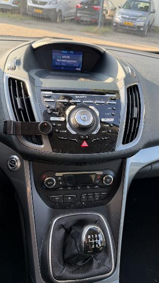 Ford Grand C-Max 1.0 TITANIUM HAGELSCHADE picture 15
