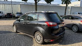 Ford Grand C-Max 1.0 TITANIUM HAGELSCHADE picture 4