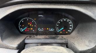 Ford Transit MHEV TREND 350 130 DC L4H3 RWD picture 13
