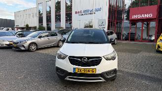 Coche accidentado Opel Crossland X 1.2 Turbo 120 Jaar Edition 2019/6