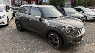 Mini Cooper COUNTRYMAN picture 1