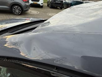 Cupra Leon VZ 300 Pk Face Lift picture 33