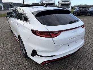 Kia Pro cee d 1.6 T-GDi  150 Kw GT-Line automaat picture 18