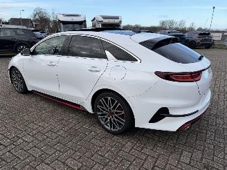 Kia Pro cee d 1.6 T-GDi  150 Kw GT-Line automaat picture 3
