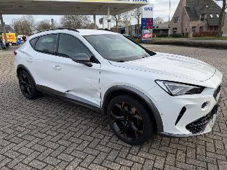 Cupra Formentor 2.0 -180 Kw Automaat VZ picture 13
