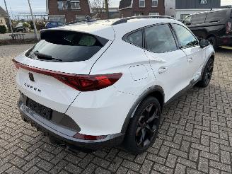 Cupra Formentor 2.0 -180 Kw Automaat VZ picture 15