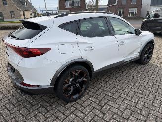 Cupra Formentor 2.0 -180 Kw Automaat VZ picture 19