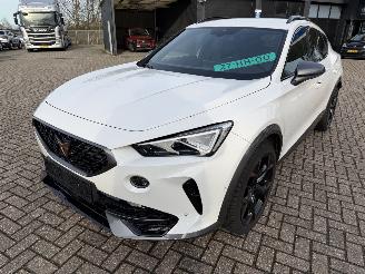 Cupra Formentor 2.0 -180 Kw Automaat VZ picture 8