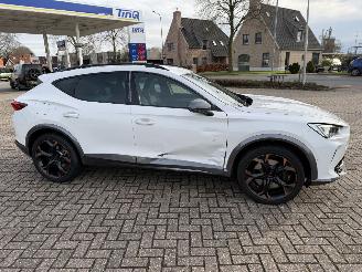 Cupra Formentor 2.0 -180 Kw Automaat VZ picture 16