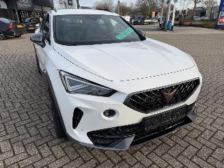 Cupra Formentor 2.0 -180 Kw Automaat VZ picture 12
