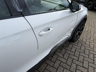 Cupra Formentor 2.0 -180 Kw Automaat VZ picture 22