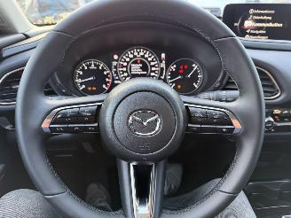 Mazda CX-30 2.5 MHEV 104 Kw Automaat Homura picture 27
