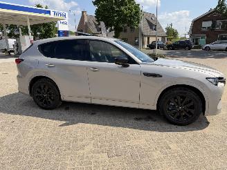 Mazda CX-60 2.5 PHEV  Homura AWD picture 9