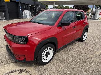 Avarii autoturisme Fiat Grande Panda  2025/5