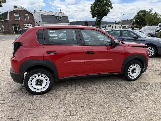 Fiat Grande Panda  picture 11