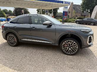 Damaged car Audi SQ5 3.0 - 270 Kw Sportback   Nieuwste model 2026/1