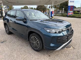 Auto incidentate Volkswagen Tayron 1.5 eTSi 150 Pk DSG 7 persoons 2026/4