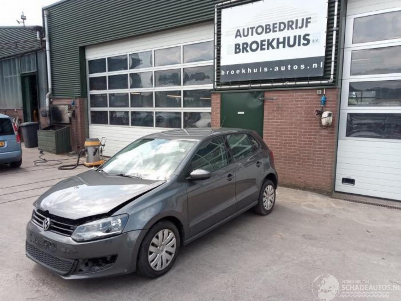 Volkswagen Polo Polo V (6R), Hatchback, 2009 / 2017 1.2 TSI