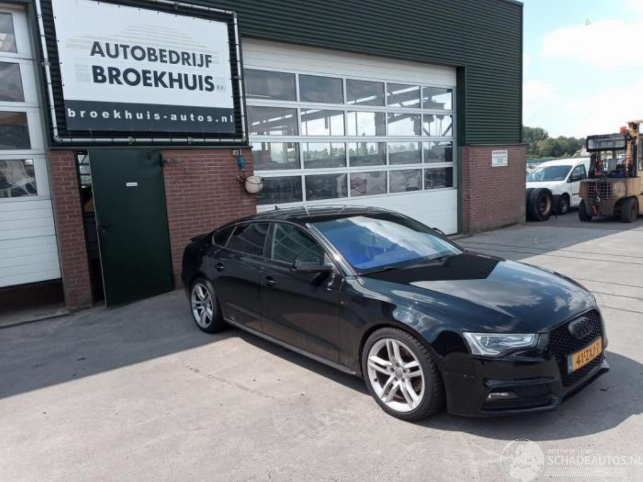 Audi 50 A5 Sportback (8TA), Liftback, 2009 / 2017 2.0 TDI 16V