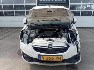 Opel Combo Combo, Van, 2012 / 2018 1.3 CDTI 16V picture 10