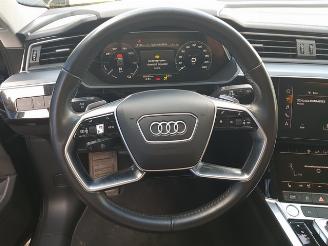 Audi E-tron e-tron 50 quattro Launch edition 71 kWh picture 20