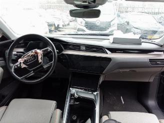 Audi E-tron e-tron (GEN), SUV, 2018 / 2023 55 quattro picture 11