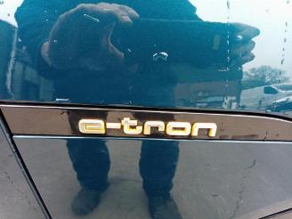 Audi E-tron e-tron (GEN), SUV, 2018 / 2023 55 quattro picture 18