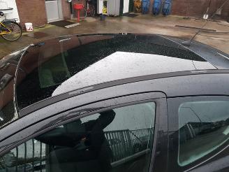 Peugeot 207 1.4 VTi XS Pack picture 21