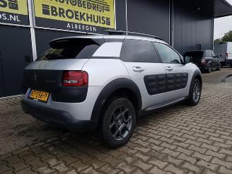Citroën C4 cactus 1.2 PureTech Shine picture 8