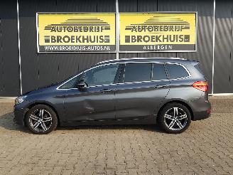 BMW 2-serie Gran Tourer 218i Centennial High Executive picture 2