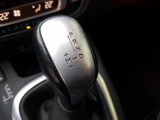 Renault Scenic 2.0 Bose Automatic picture 26