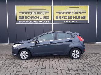 Ford Fiesta 1.6 TDCi Lease Titanium picture 2