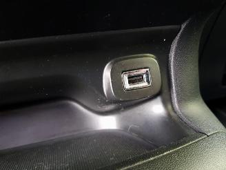 Citroën C4 cactus 1.2 PureTech Shine picture 25