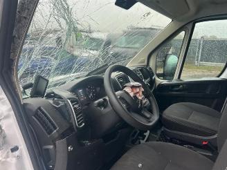 Fiat Ducato Ducato (250), Ch.Cab/Pick-up, 2006 2.2 D 160 Multijet 3 picture 14