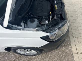 Volkswagen Caddy Cargo Maxi 2.0 TDI Economy Business picture 13