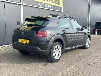 Citroën C4 cactus 1.6 e-HDi Feel AUTOMATIC picture 7