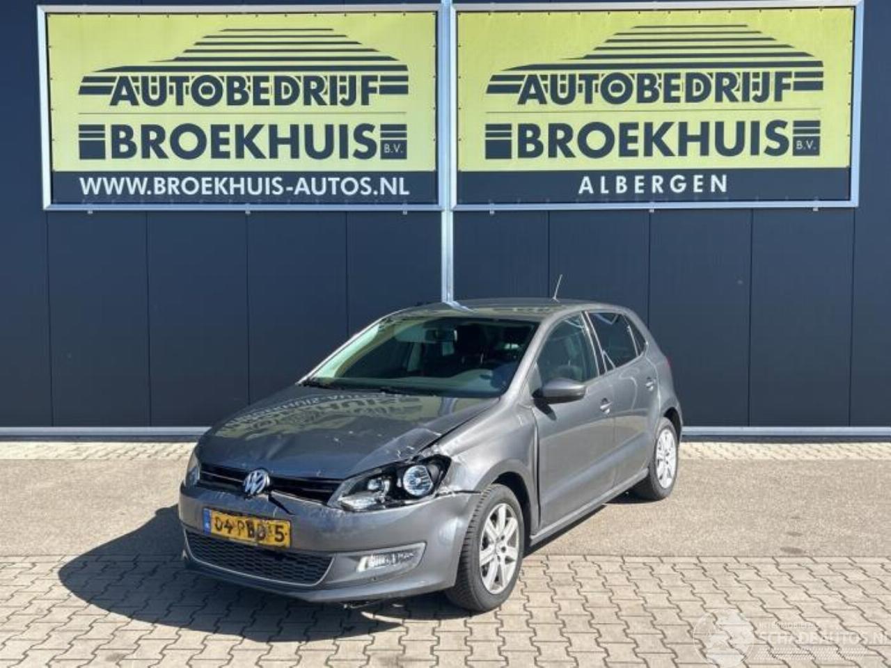 Volkswagen Polo Polo V (6R), Hatchback, 2009 / 2017 1.4 16V