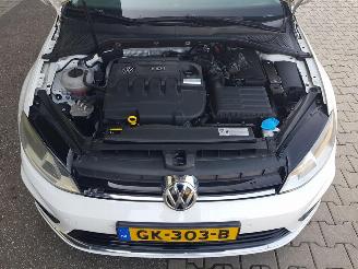 Volkswagen Golf Variant 1.6 TDI Business Edition R picture 31