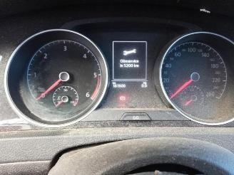 Volkswagen Golf Golf VII Variant (AUVV), Combi, 2013 / 2021 1.6 TDI BlueMotion 16V picture 14