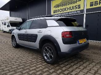 Citroën C4 cactus 1.2 PureTech Shine picture 7