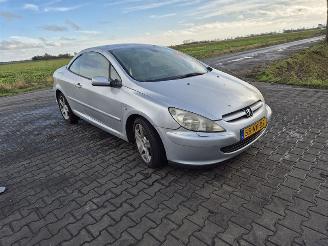 Peugeot 307 CC 2.0 16v picture 4