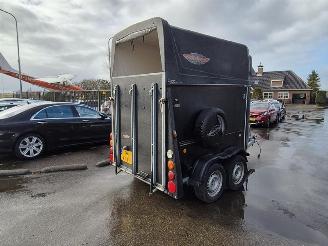 -  Thiel Pico picture 1