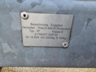 -  Thiel Pico picture 11