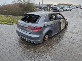 disassembly passenger cars Audi A3 Sportback 1.4 TFSi 2014/2