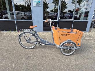škoda cyklistika Overige  Baloe Curve 2020/2