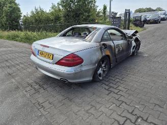 Sloopauto Mercedes SL 500 2002/10