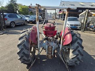 Massey Ferguson  MF35 picture 9